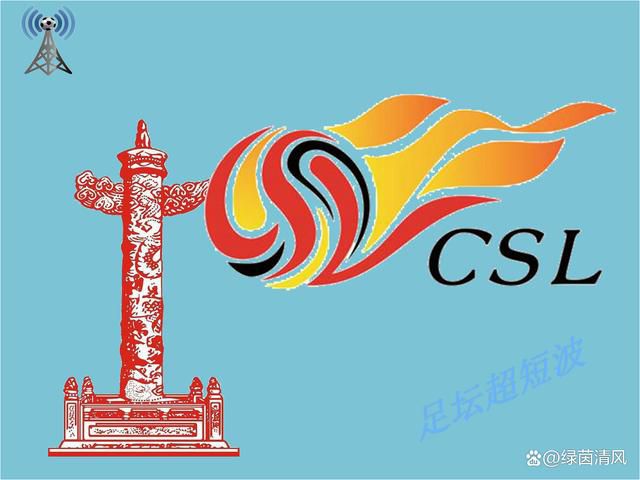 国内精品久久久久久久星辰影视