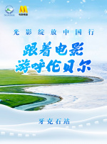 国产视频每日更新