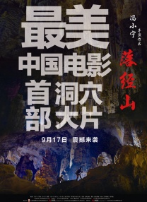 天天干干