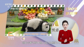 就爱啪啪网